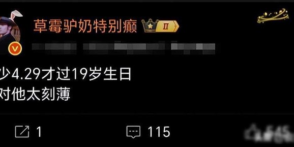 半岛体育-王楚钦赢了比赛，有人却为日本少年鼓掌，饭圈逻辑正在吃掉国乒|雨果·卡尔德拉诺|男单决赛|松岛辉空|王皓|松岛_新浪体育_新浪新闻